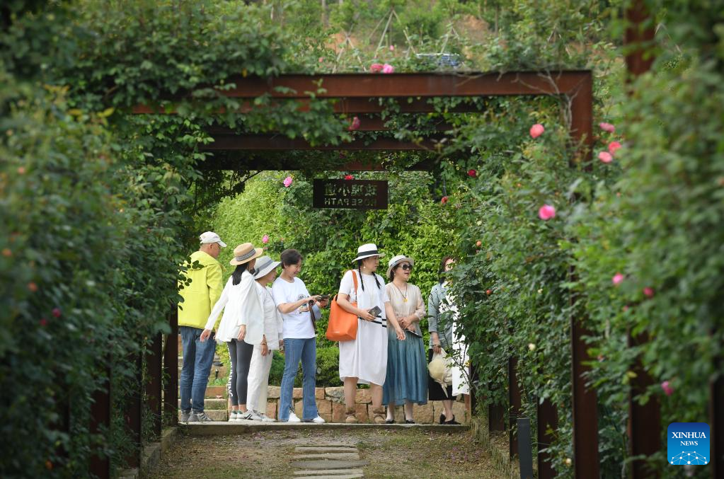 Zhejiang implements rural green revival program to overhaul living environment of villages