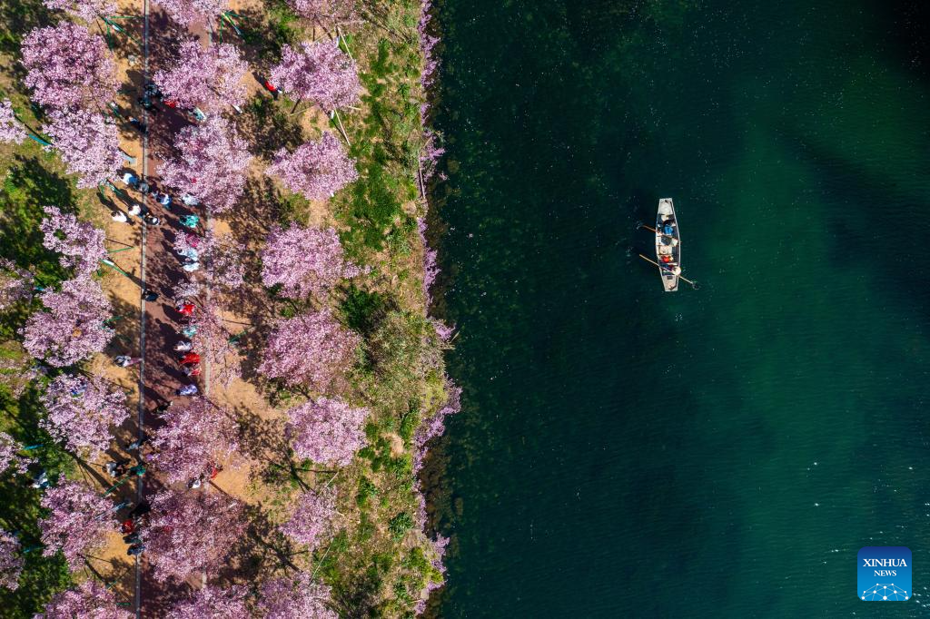 Zhejiang implements rural green revival program to overhaul living environment of villages