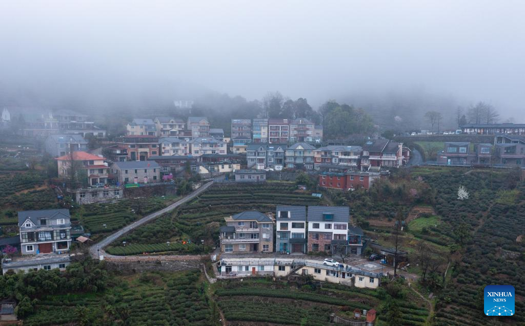 Zhejiang implements rural green revival program to overhaul living environment of villages