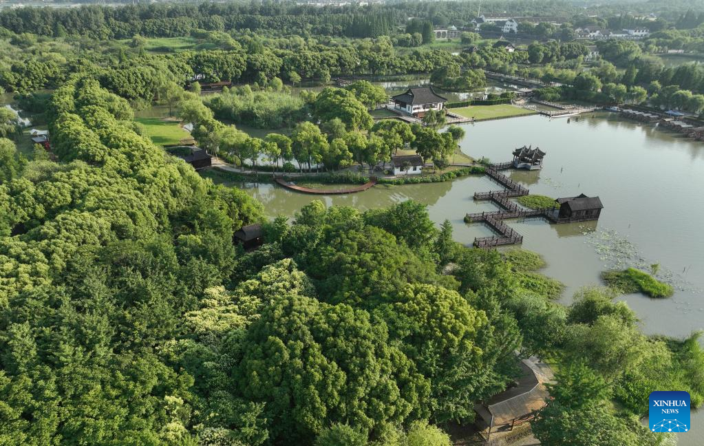 Scenery of Shajiabang National Wetland Park in Changshu, E China's Jiangsu