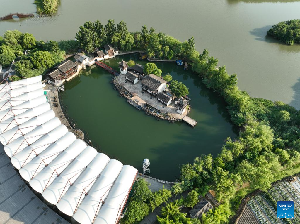 Scenery of Shajiabang National Wetland Park in Changshu, E China's Jiangsu