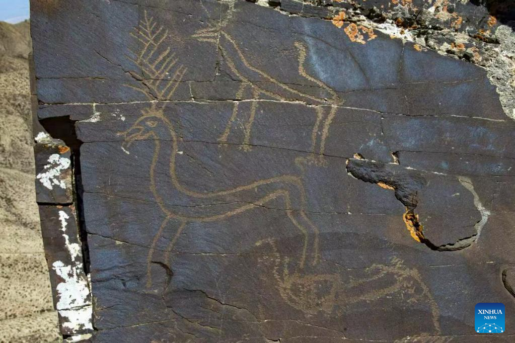 China's Gansu sets up digital archives for ancient rock paintings
