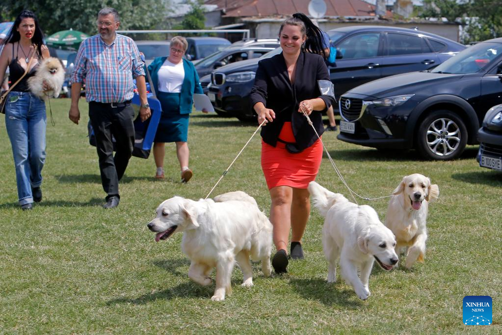 Int'l canine beauty show held in Romania