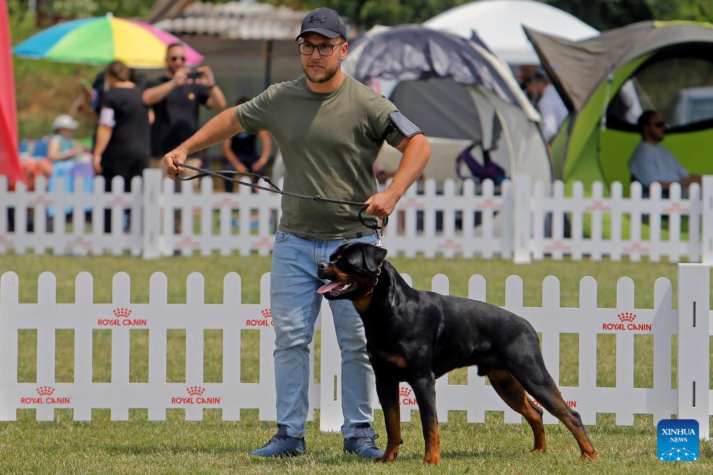 Int'l canine beauty show held in Romania