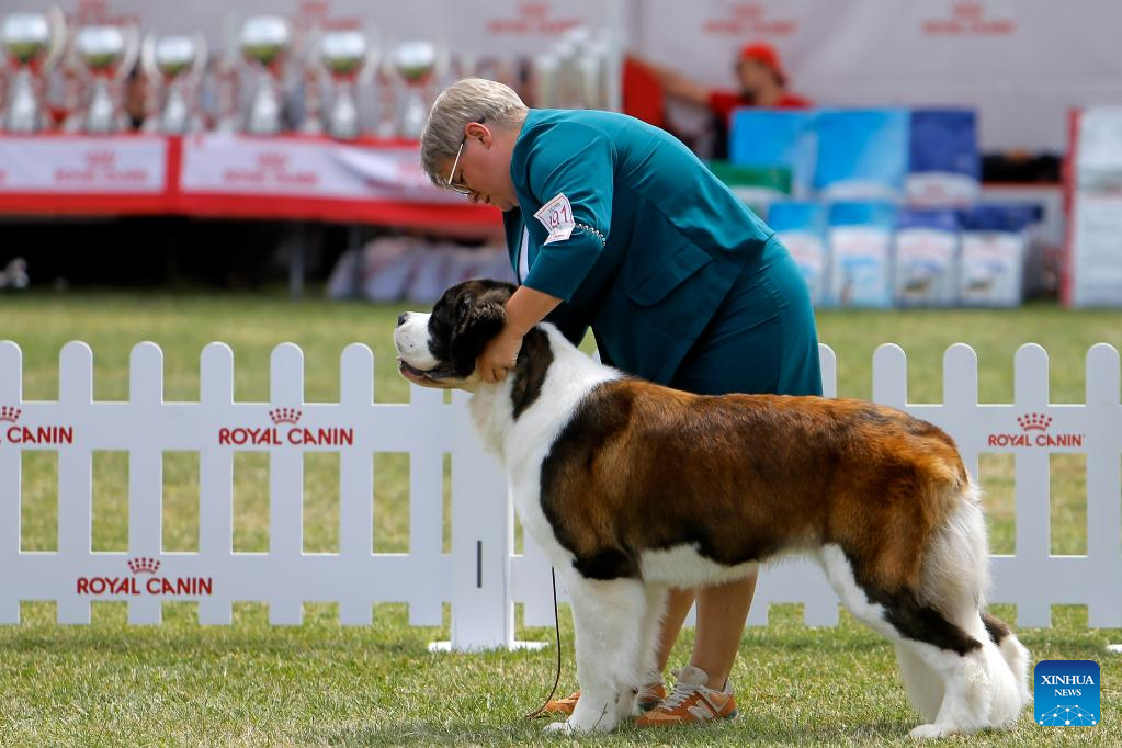 Int'l canine beauty show held in Romania