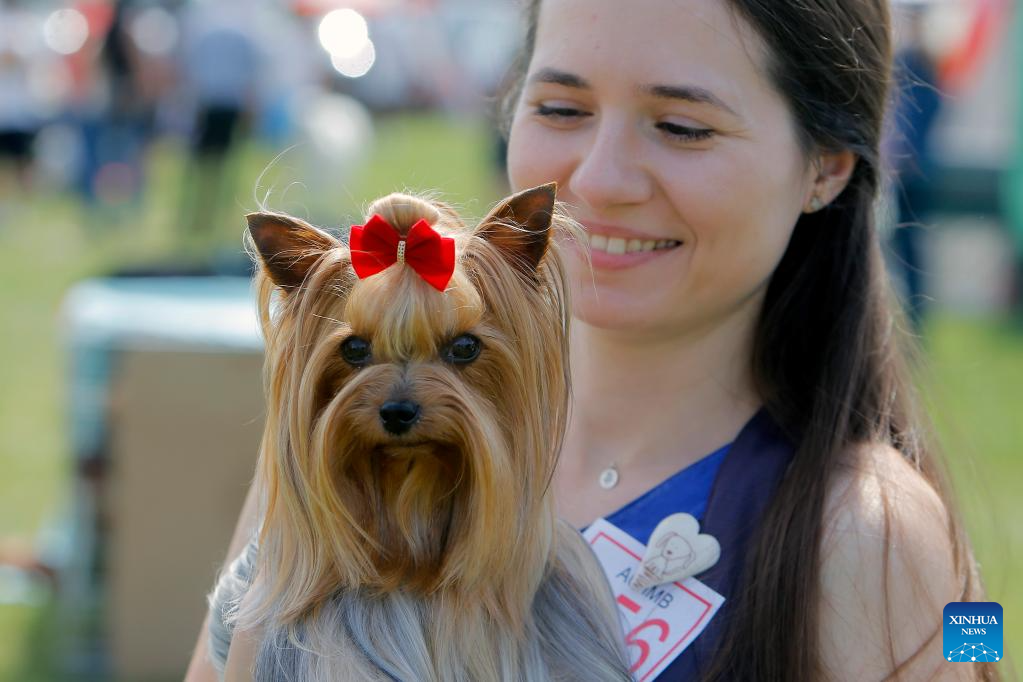 Int'l canine beauty show held in Romania