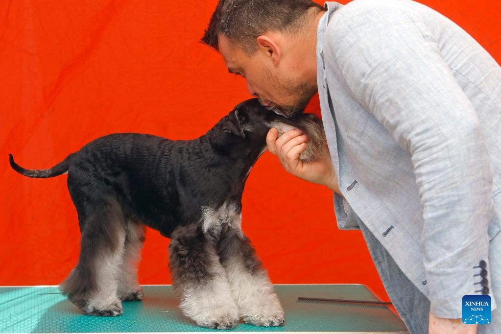 Int'l canine beauty show held in Romania