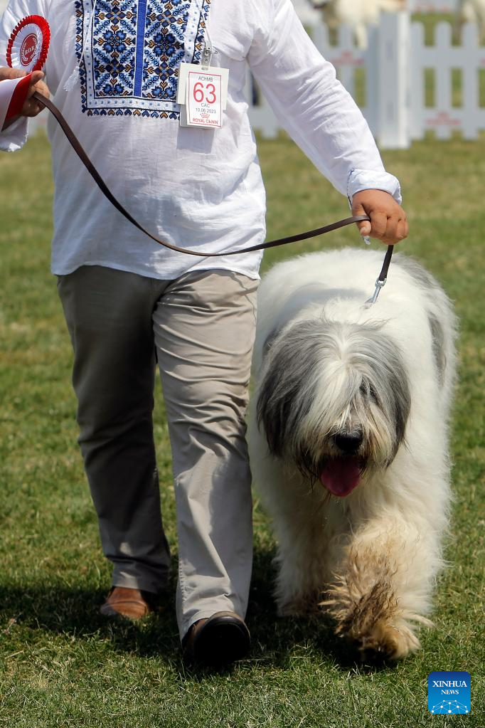 Int'l canine beauty show held in Romania
