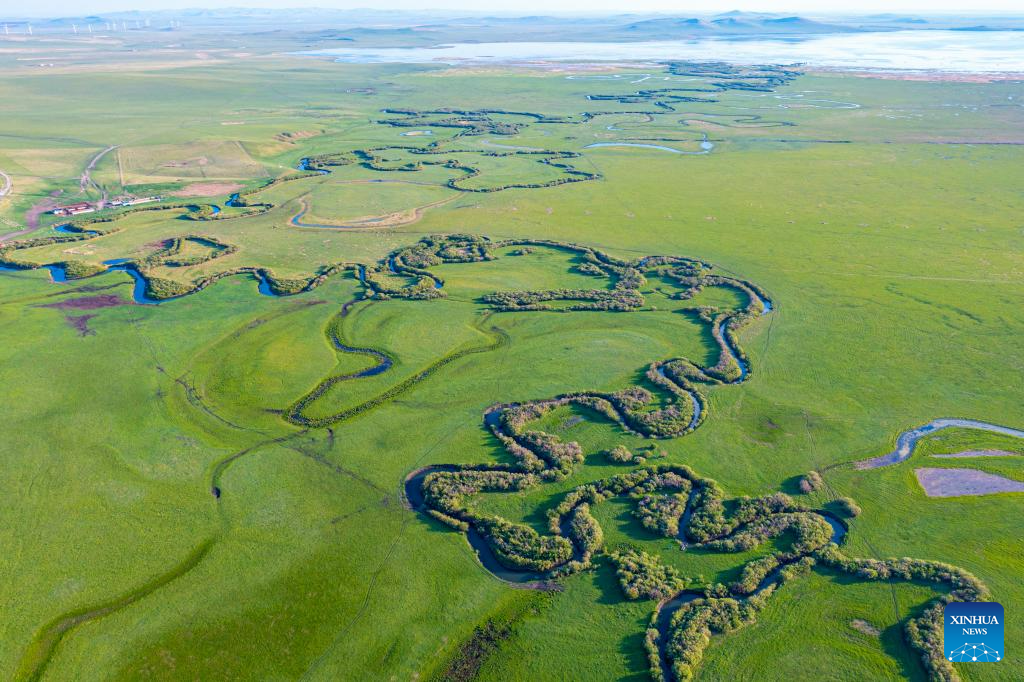 Scenery of grassland in Xilingol League of N China's Inner Mongolia