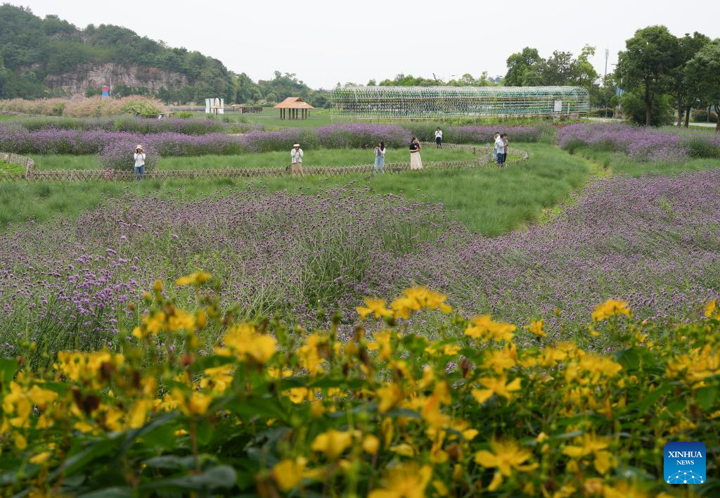 Shepan Island in E China makes efforts to achieve green and sustainable development