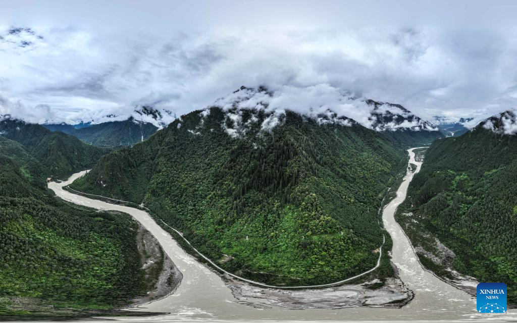 Discovery of giant cypress in SW China refreshes Asian record of tallest tree