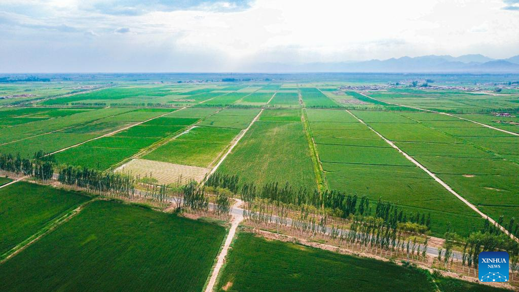 Scenery of Bayannur, N China's Inner Mongolia