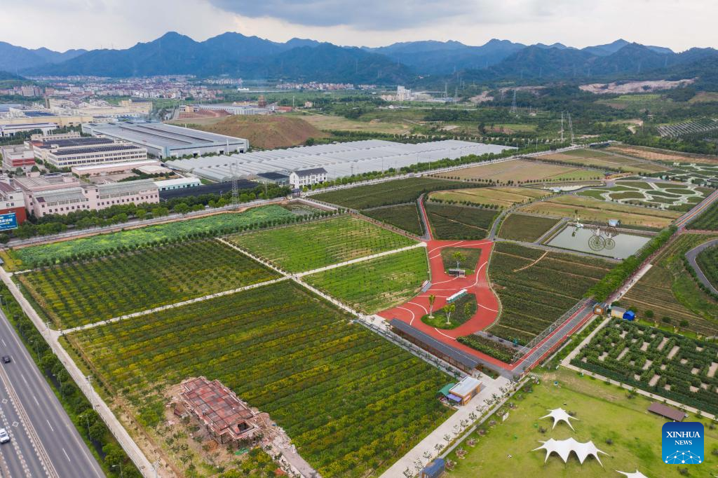 Villages in east China focuses on green and sustainable development