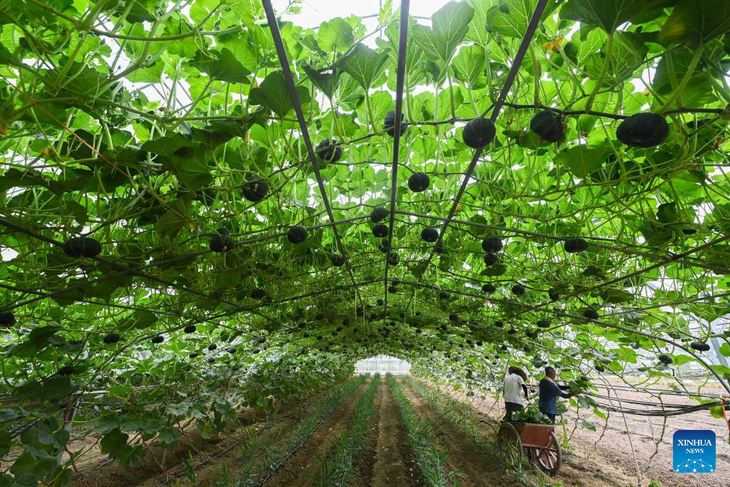 Villages in east China focuses on green and sustainable development