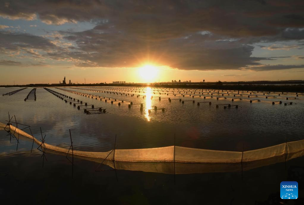 Marine ecological protection and restoration project in Tangshan makes progress