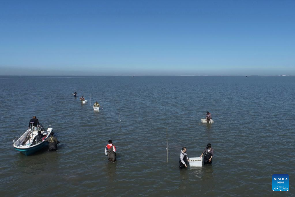 Marine ecological protection and restoration project in Tangshan makes progress