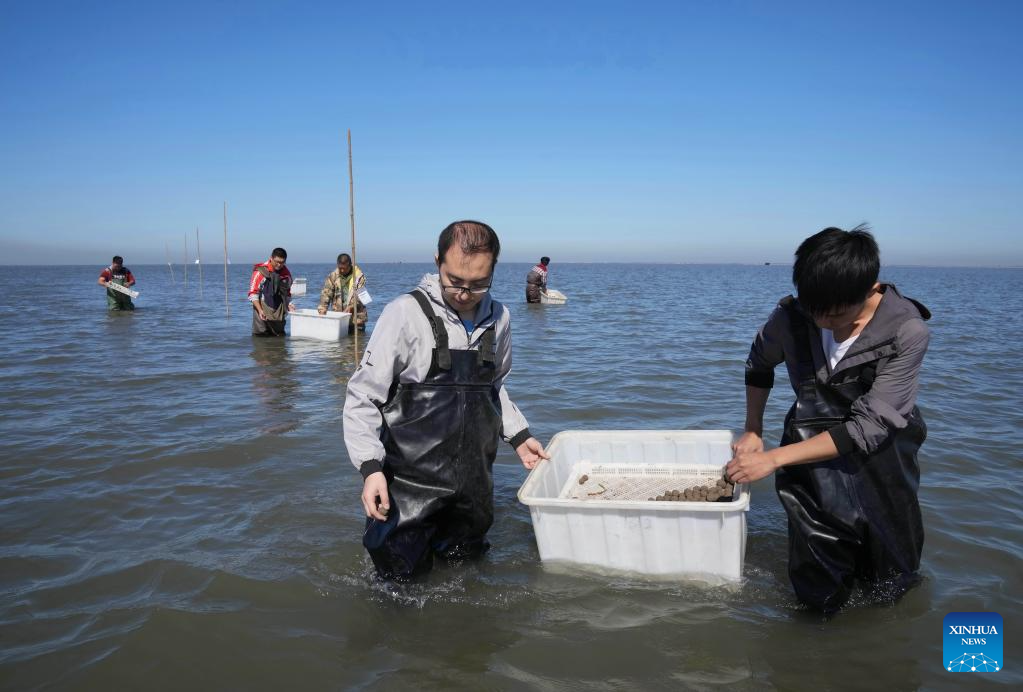 Marine ecological protection and restoration project in Tangshan makes progress