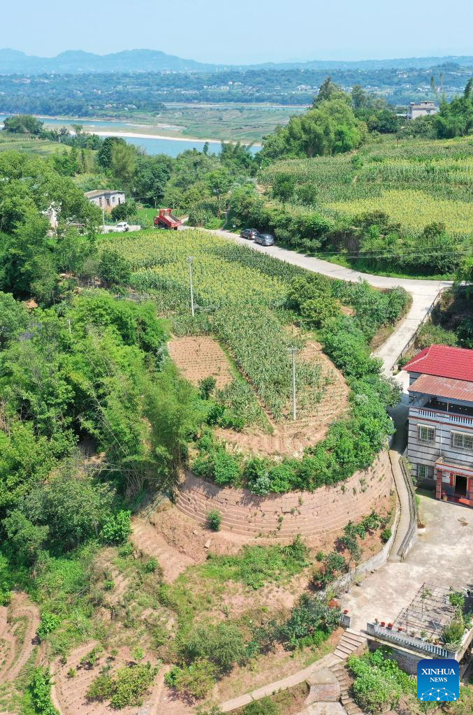 In pics: Shenbi ancient battlefield site in SW China's Sichuan