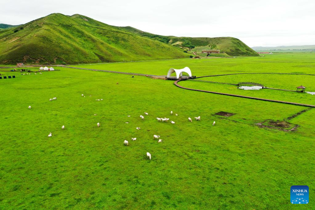 Summer scenery of Ulan Mod grassland in Horqin Right Wing Front Banner, N China
