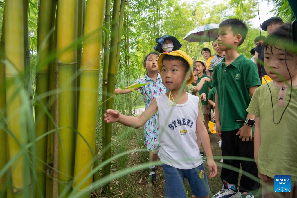 People visit Guangyang Isle for ecological education tour in SW China's Chongqing