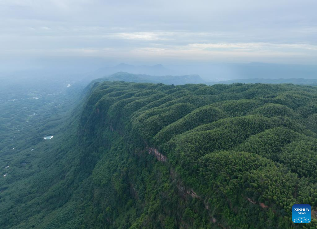 SW China's Yibin adheres to green development