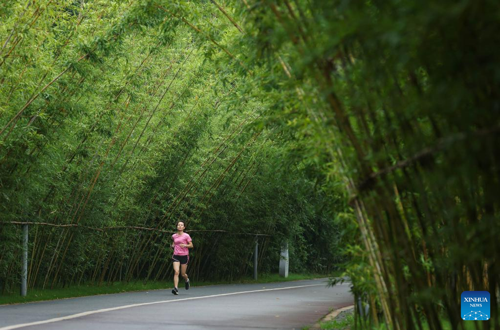 SW China's Yibin adheres to green development