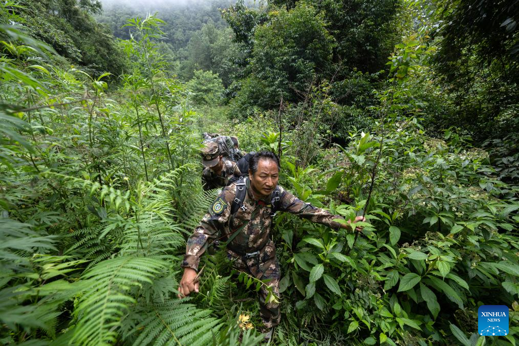 Pic story: Gaoligongshan national nature reserve ranger in SW China