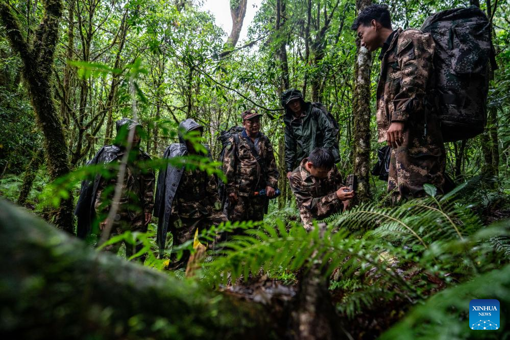 Pic story: Gaoligongshan national nature reserve ranger in SW China
