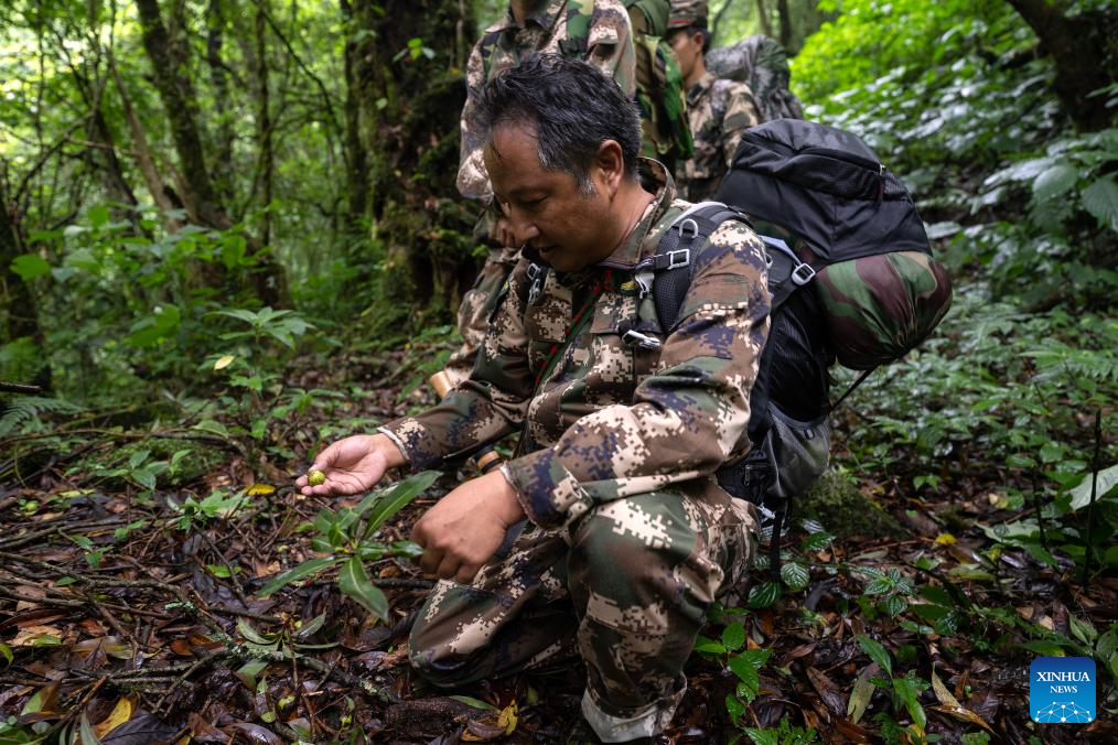 Pic story: Gaoligongshan national nature reserve ranger in SW China