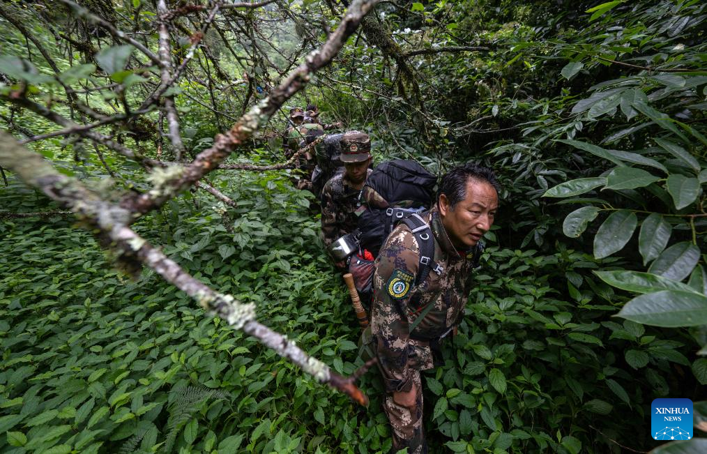 Pic story: Gaoligongshan national nature reserve ranger in SW China