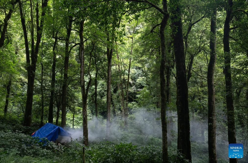 Pic story: Gaoligongshan national nature reserve ranger in SW China