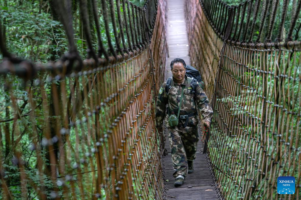 Pic story: Gaoligongshan national nature reserve ranger in SW China