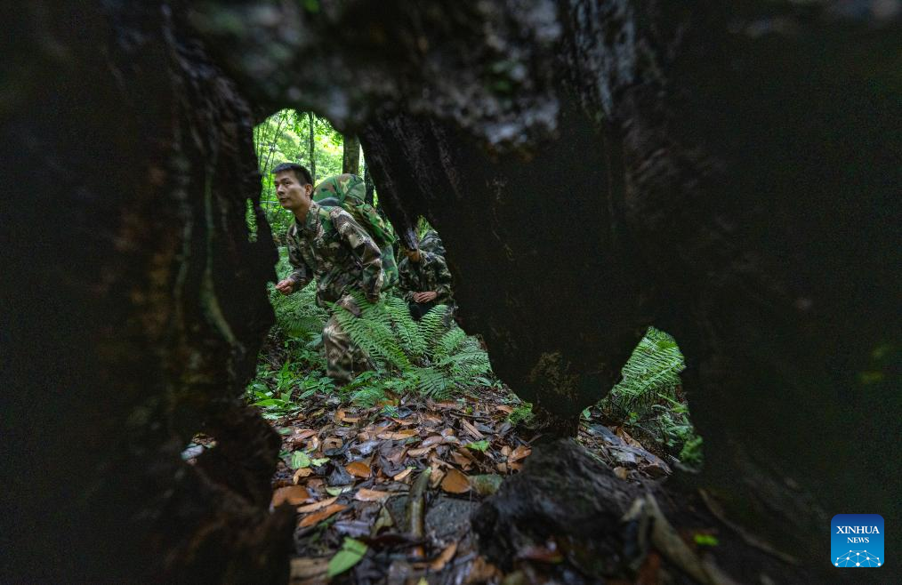 Pic story: Gaoligongshan national nature reserve ranger in SW China