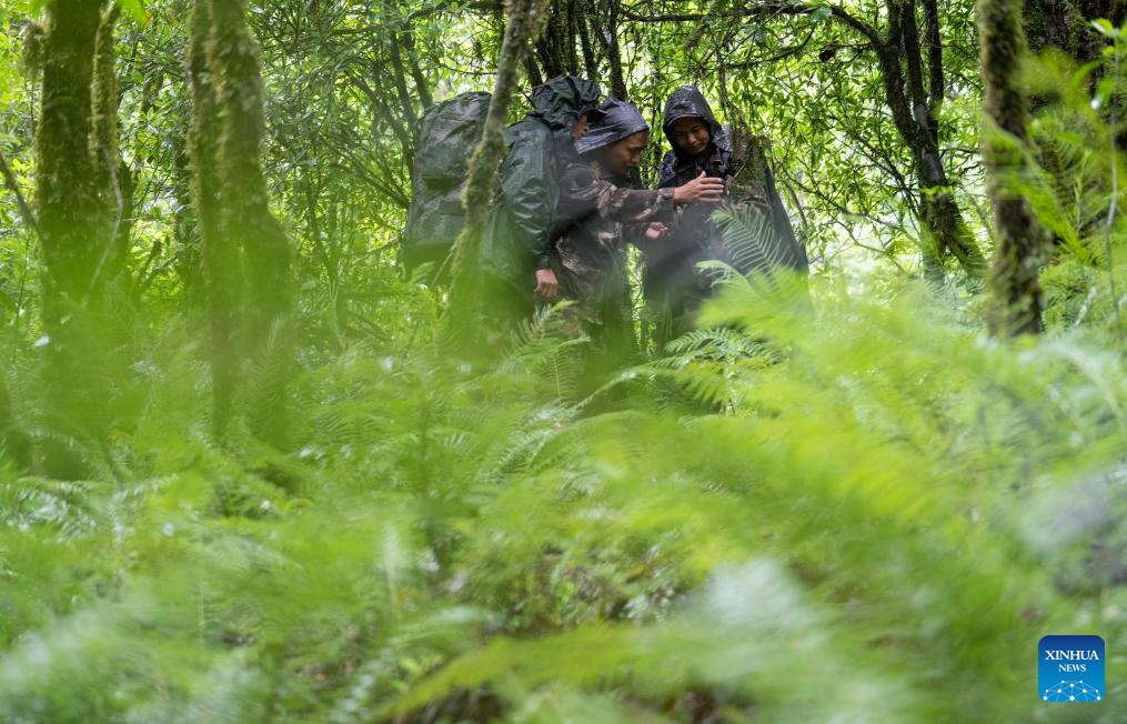 Pic story: Gaoligongshan national nature reserve ranger in SW China