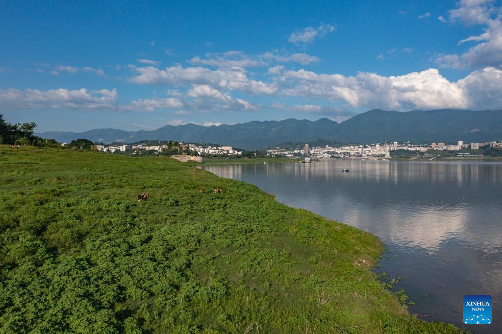 Three Gorges Reservoir witnesses improved ecological environment in SW China's Chongqing