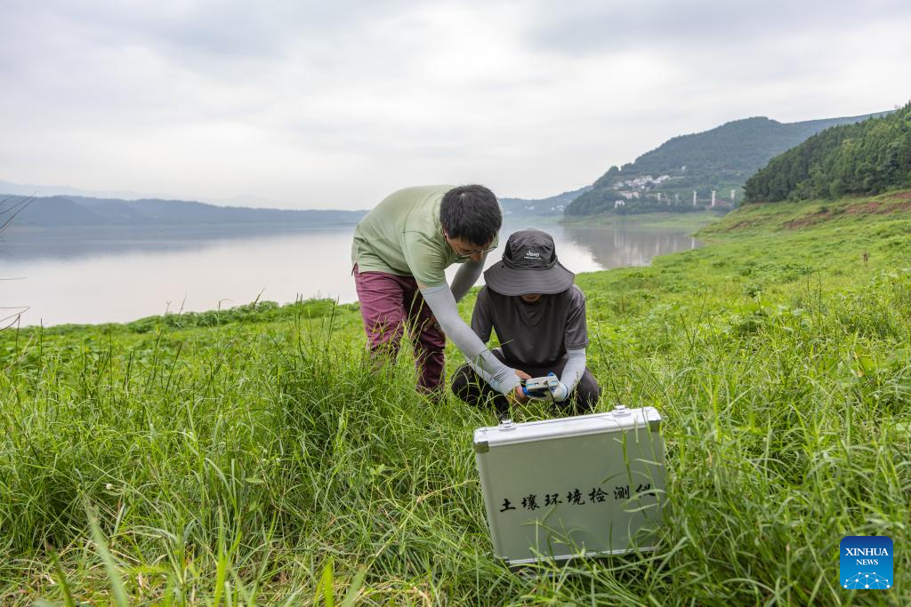 Three Gorges Reservoir witnesses improved ecological environment in SW China's Chongqing