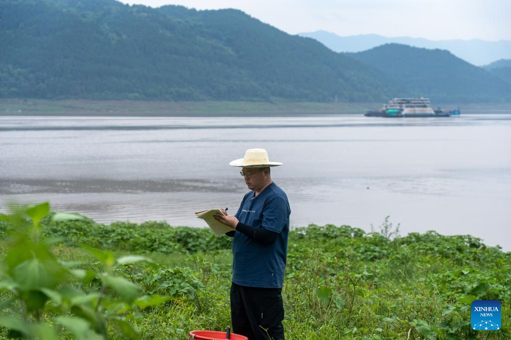 Three Gorges Reservoir witnesses improved ecological environment in SW China's Chongqing