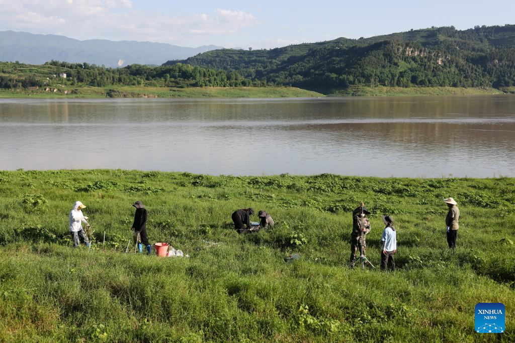 Three Gorges Reservoir witnesses improved ecological environment in SW China's Chongqing