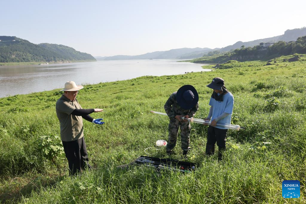 Three Gorges Reservoir witnesses improved ecological environment in SW China's Chongqing