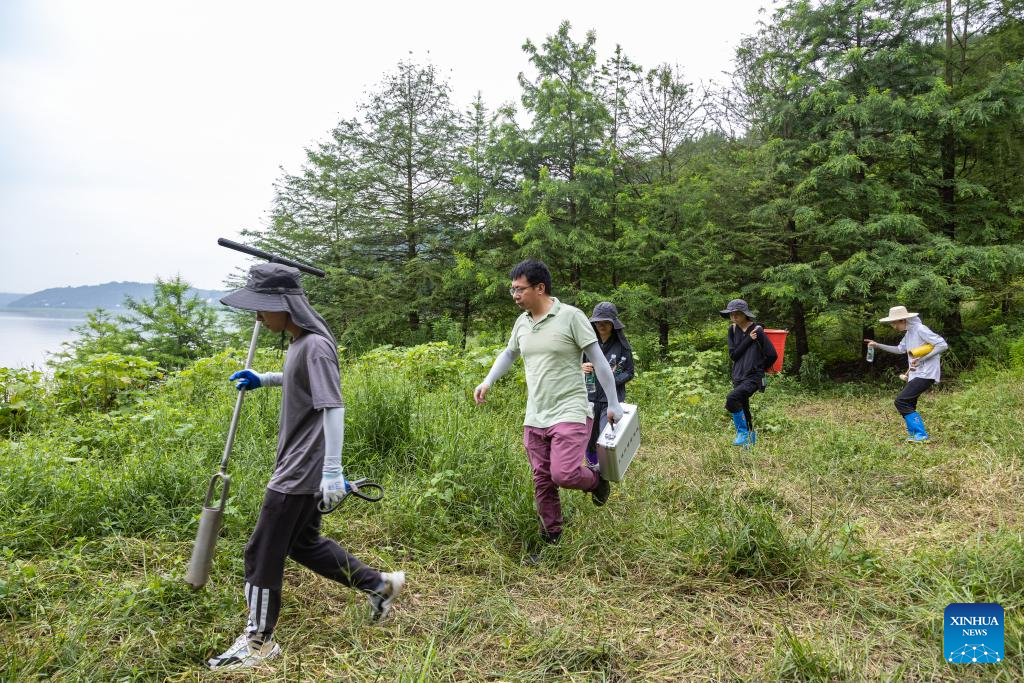 Three Gorges Reservoir witnesses improved ecological environment in SW China's Chongqing