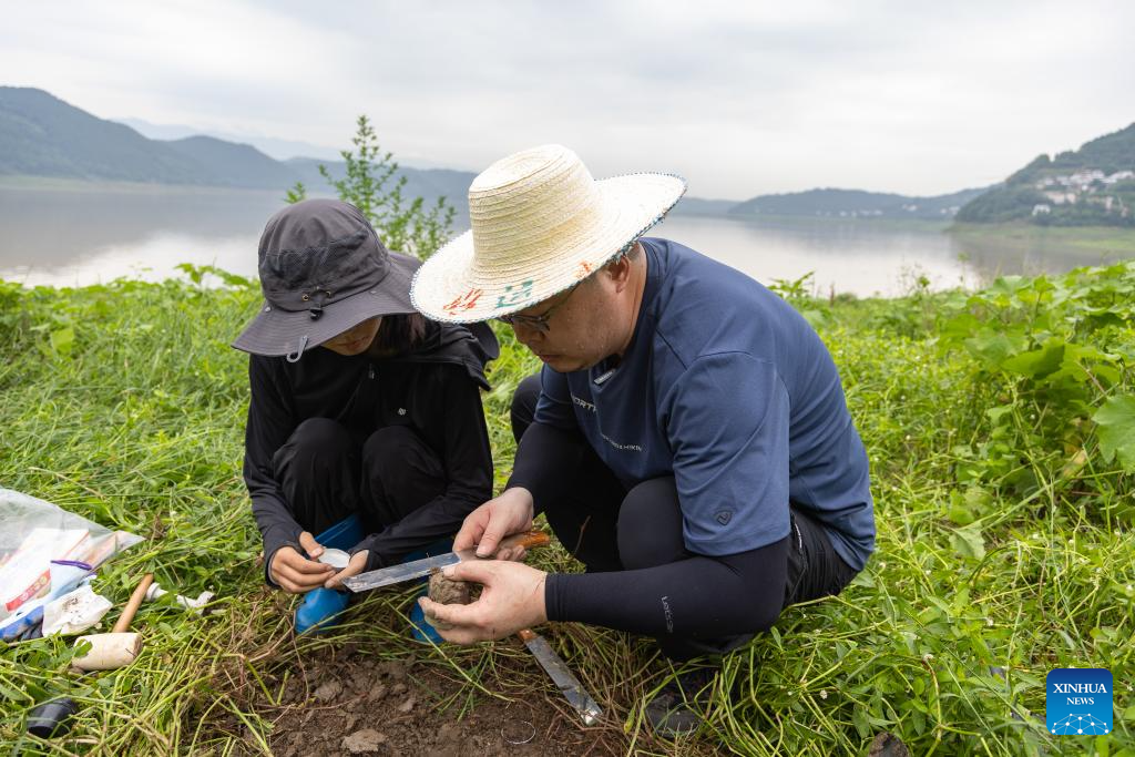 Three Gorges Reservoir witnesses improved ecological environment in SW China's Chongqing