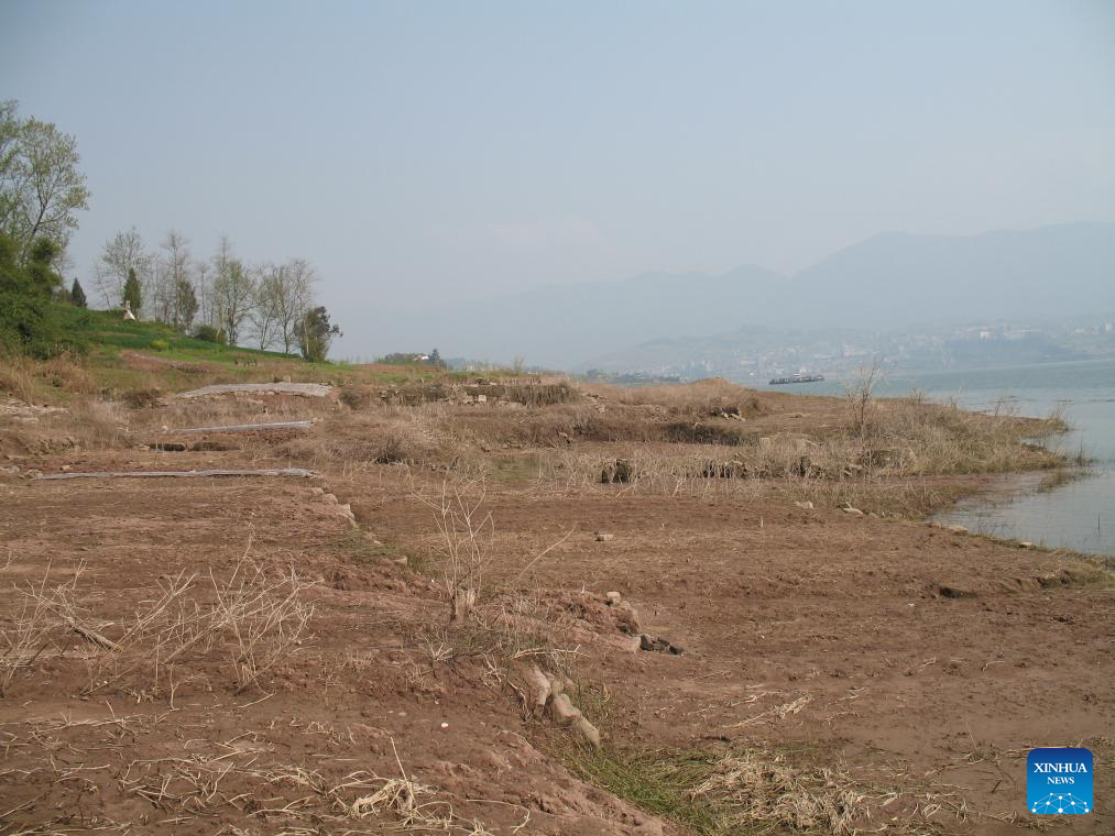 Three Gorges Reservoir witnesses improved ecological environment in SW China's Chongqing