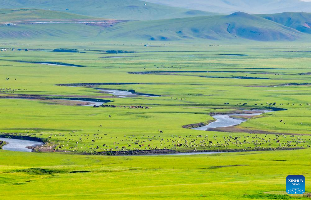 Scenery along Mergel Gol River in Hulun Buir, N China's Inner Mongolia