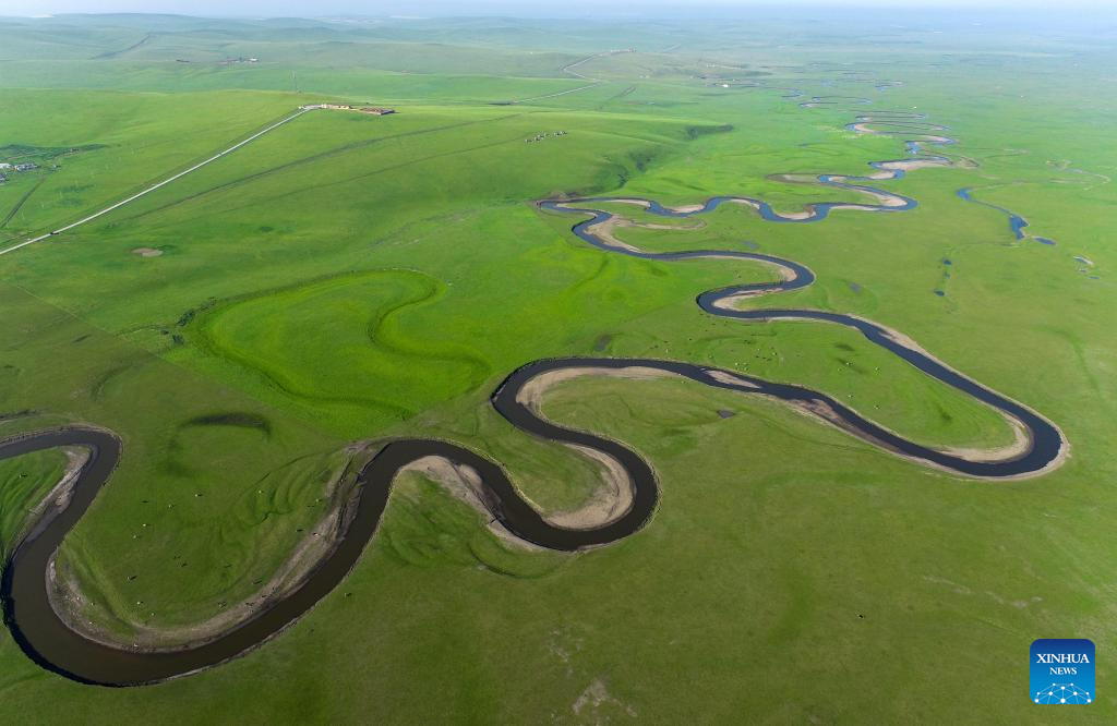 Scenery along Mergel Gol River in Hulun Buir, N China's Inner Mongolia