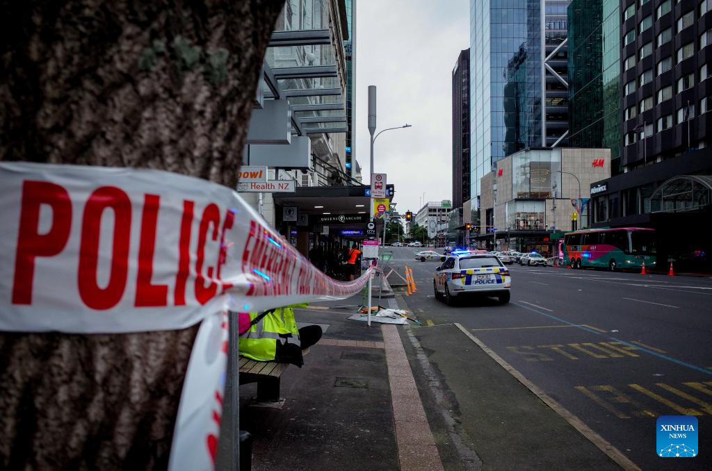 3 dead, 6 injured in