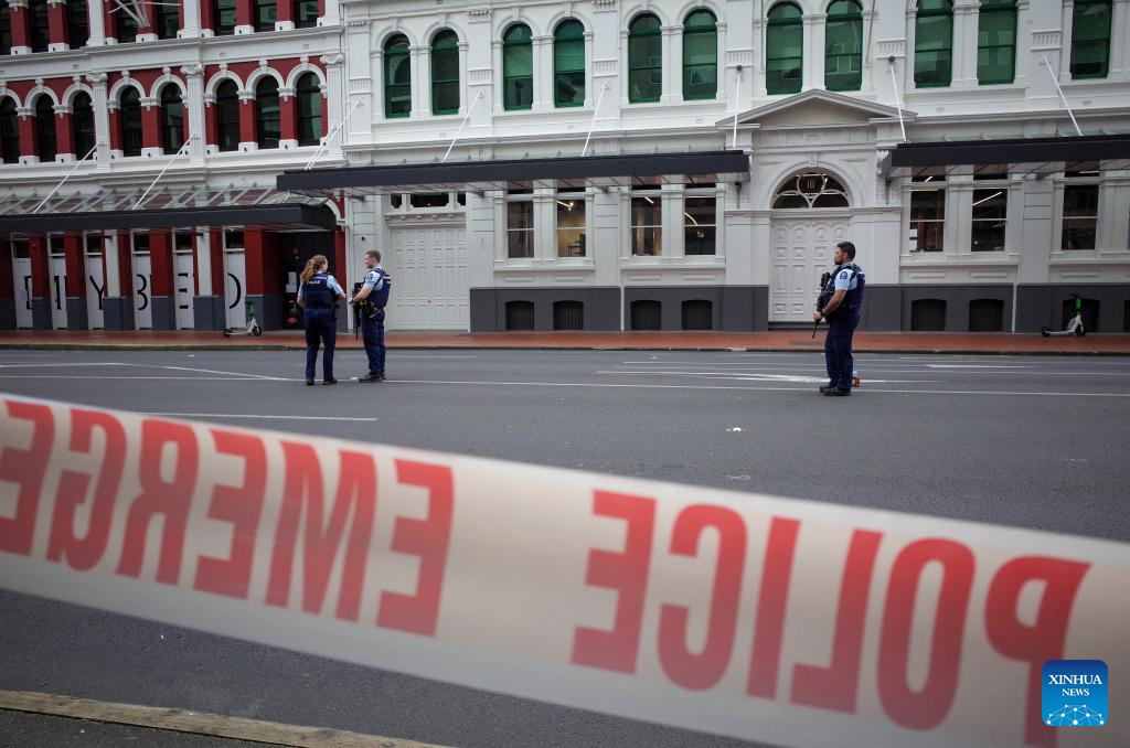 3 dead, 6 injured in