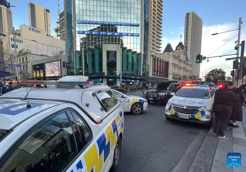 3 dead, 6 injured in