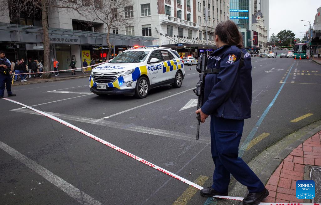 3 dead, 6 injured in
