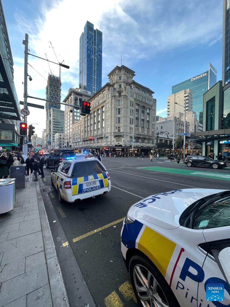 3 dead, 6 injured in