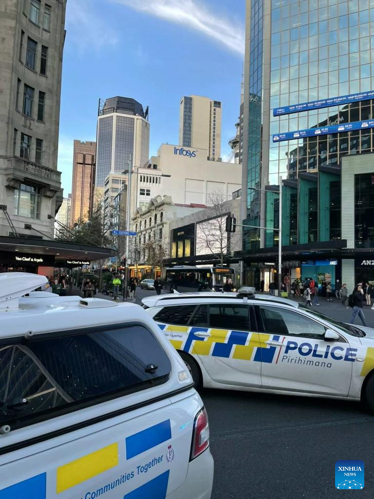 3 dead, 6 injured in